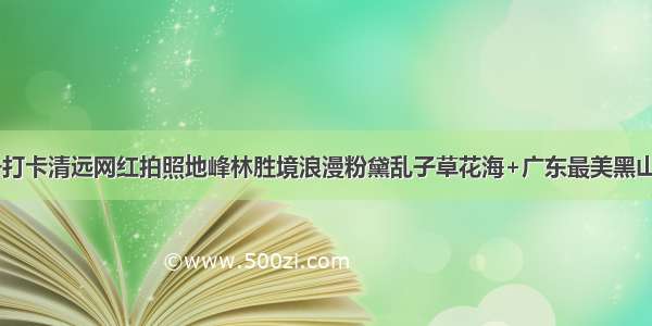 10月19-20号打卡清远网红拍照地峰林胜境浪漫粉黛乱子草花海+广东最美黑山梯田赏金黄稻