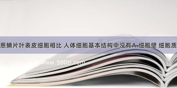 单选题与洋葱鳞片叶表皮细胞相比 人体细胞基本结构中没有A.细胞壁 细胞质 细胞核B.细