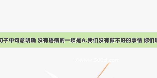 单选题下列句子中句意明确 没有语病的一项是A.我们没有做不好的事情 你们呢？B.同学们