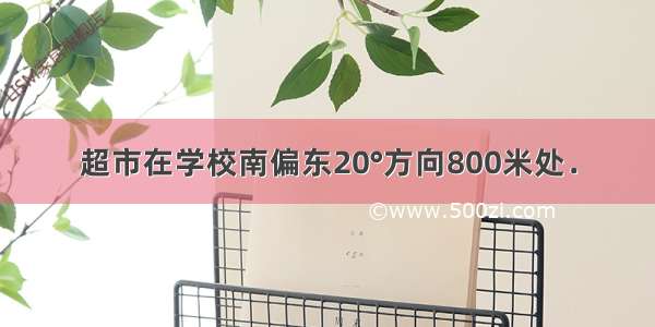 超市在学校南偏东20°方向800米处．