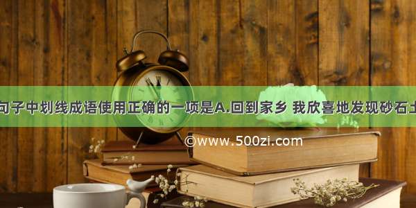 单选题下列句子中划线成语使用正确的一项是A.回到家乡 我欣喜地发现砂石土路已经被宽