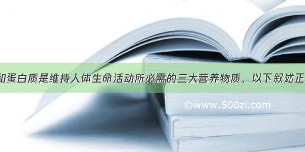 糖类 脂肪和蛋白质是维持人体生命活动所必需的三大营养物质．以下叙述正确的是A.植