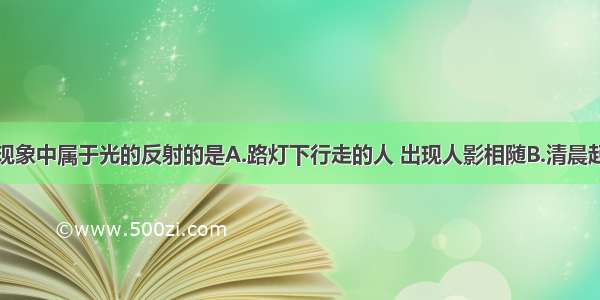 下列四种现象中属于光的反射的是A.路灯下行走的人 出现人影相随B.清晨起床后对着