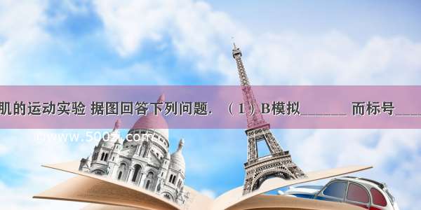 图示模拟膈肌的运动实验 据图回答下列问题．（1）B模拟______ 而标号______模拟膈肌