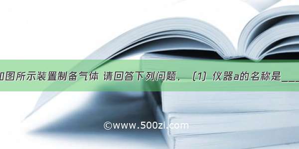 实验室常用如图所示装置制备气体 请回答下列问题．（1）仪器a的名称是______；（2）