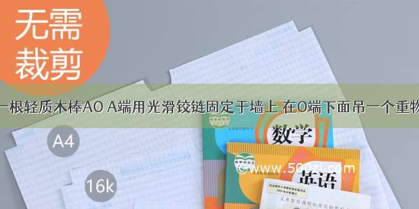 如图所示 一根轻质木棒AO A端用光滑铰链固定于墙上 在O端下面吊一个重物 上面用细