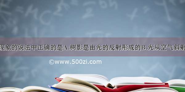 下列有关光现象的说法中正确的是A.树影是由光的反射形成的B.光从空气斜射入水中 传播