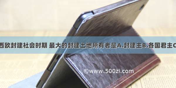 单选题西欧封建社会时期 最大的封建土地所有者是A.封建主B.各国君主C.查理大