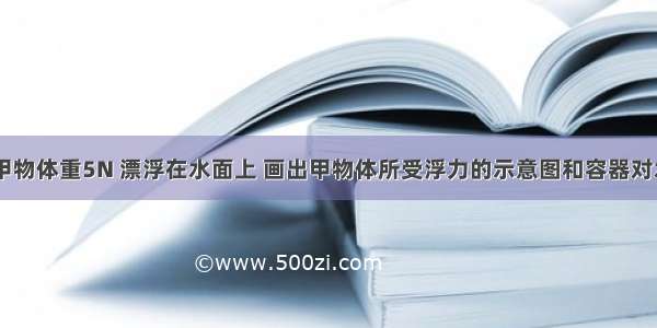 如图所示 甲物体重5N 漂浮在水面上 画出甲物体所受浮力的示意图和容器对水平地面压