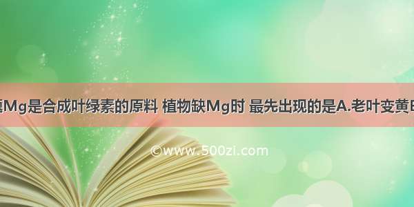 单选题Mg是合成叶绿素的原料 植物缺Mg时 最先出现的是A.老叶变黄B.老 新