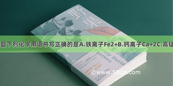 单选题下列化学用语书写正确的是A.铁离子Fe2+B.钙离子Ca+2C.高锰酸钾