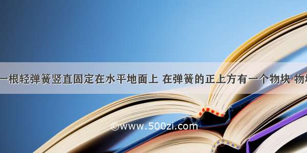 如图所示 一根轻弹簧竖直固定在水平地面上 在弹簧的正上方有一个物块 物块从高处自