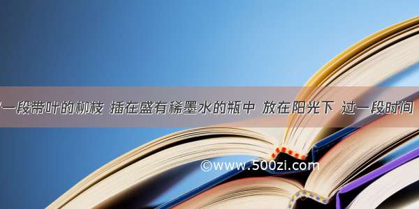 单选题取一段带叶的柳枝 插在盛有稀墨水的瓶中 放在阳光下 过一段时间 对枝条进