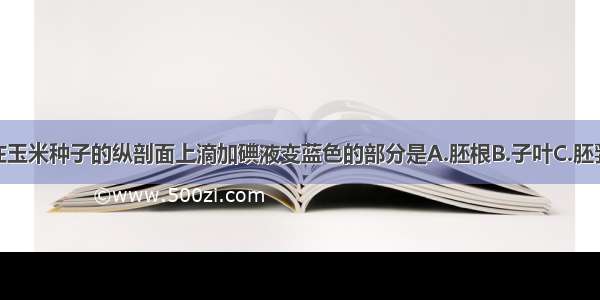 单选题在玉米种子的纵剖面上滴加碘液变蓝色的部分是A.胚根B.子叶C.胚乳D.胚芽