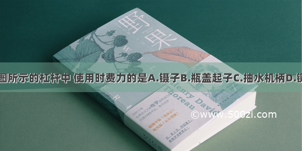 如图所示的杠杆中 使用时费力的是A.镊子B.瓶盖起子C.抽水机柄D.铡刀