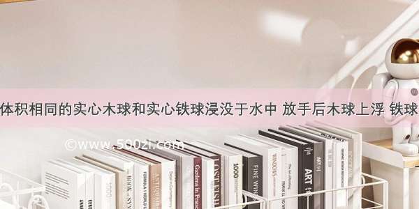 单选题将体积相同的实心木球和实心铁球浸没于水中 放手后木球上浮 铁球下沉 静止