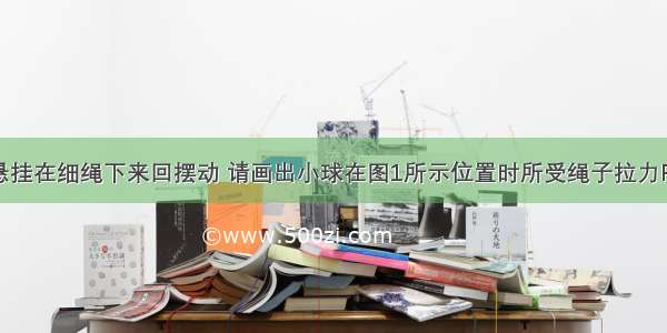 （1）小球悬挂在细绳下来回摆动 请画出小球在图1所示位置时所受绳子拉力F和重力G的示