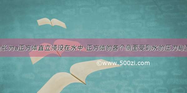 如图有一边长为a正方体直立浸没在水中 正方体的各个侧面受到水的压力相互抵消 但其