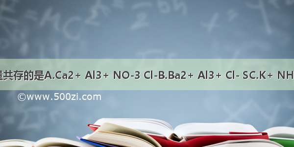 下列各组离子 能在溶液中大量共存的是A.Ca2+ Al3+ NO-3 Cl-B.Ba2+ Al3+ Cl- SC.K+ NH+4 C OH-D.H+ Mg2+ NO3