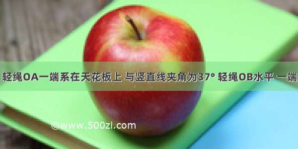 如图所示 轻绳OA一端系在天花板上 与竖直线夹角为37° 轻绳OB水平 一端系在墙上 