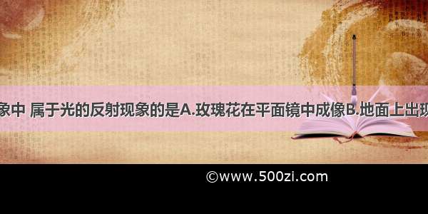 在下列的现象中 属于光的反射现象的是A.玫瑰花在平面镜中成像B.地面上出现小狗的影子