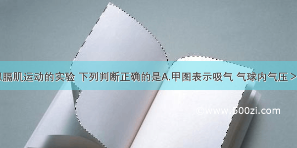 如图是模拟膈肌运动的实验 下列判断正确的是A.甲图表示吸气 气球内气压＞外界B.甲图