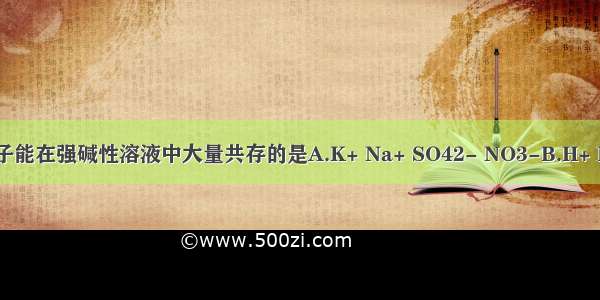 下列各组离子能在强碱性溶液中大量共存的是A.K+ Na+ SO42- NO3-B.H+ Na+ Cl- SO