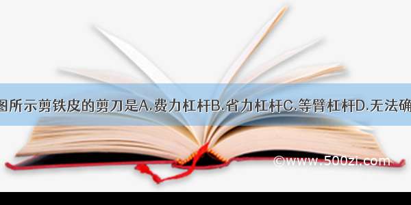 如图所示剪铁皮的剪刀是A.费力杠杆B.省力杠杆C.等臂杠杆D.无法确定