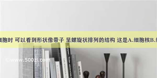 观察水绵细胞时 可以看到形状像带子 呈螺旋状排列的结构 这是A.细胞核B.细胞质C.叶