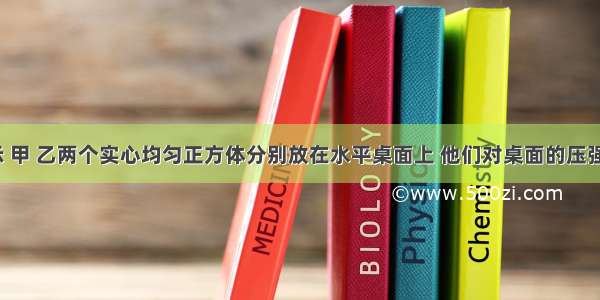 如图所示 甲 乙两个实心均匀正方体分别放在水平桌面上 他们对桌面的压强相等 甲 