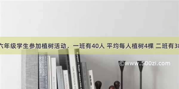 立新小学六年级学生参加植树活动．一班有40人 平均每人植树4棵 二班有38人 平均每