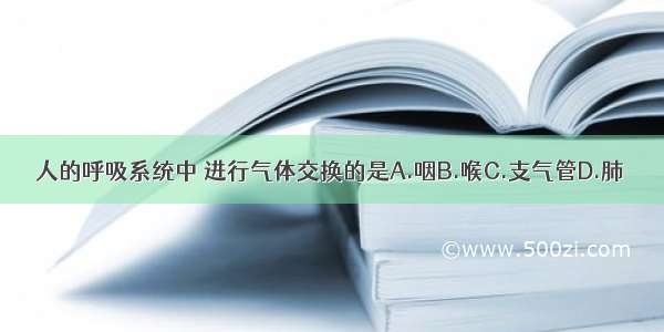 人的呼吸系统中 进行气体交换的是A.咽B.喉C.支气管D.肺