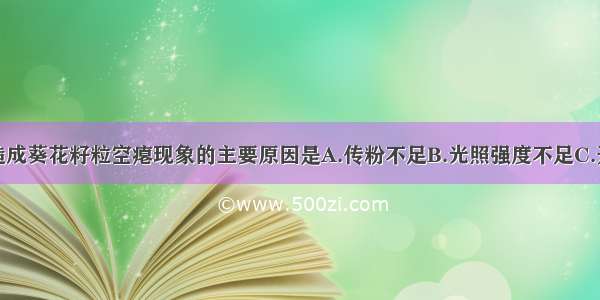 农业生产上造成葵花籽粒空瘪现象的主要原因是A.传粉不足B.光照强度不足C.开的花较少D.