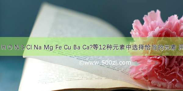 从?C H O N S Cl Na Mg Fe Cu Ba Ca?等12种元素中选择恰当的元素 用离子