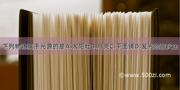 下列物体属于光源的是A.太阳灶B.月亮C.平面镜D.发光的萤火虫