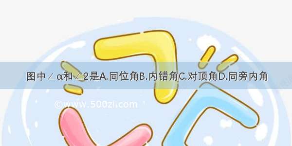 图中∠α和∠2是A.同位角B.内错角C.对顶角D.同旁内角