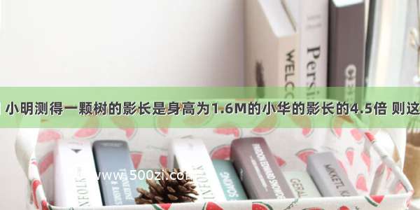 在同一时刻 小明测得一颗树的影长是身高为1.6M的小华的影长的4.5倍 则这棵树的高度