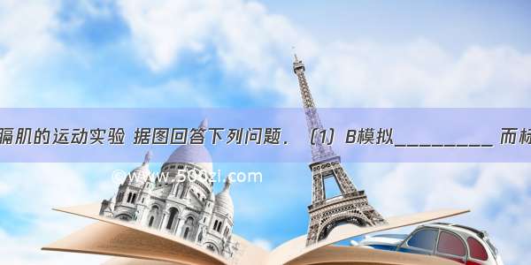 如图1所示模拟膈肌的运动实验 据图回答下列问题．（1）B模拟________ 而标号_______