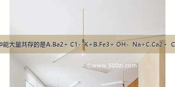 下列各组离子在溶液中能大量共存的是A.Ba2+ C1-  K+B.Fe3+ OH-  Na+C.Ca2+  C1- K+D.Ag+  Cl- K+