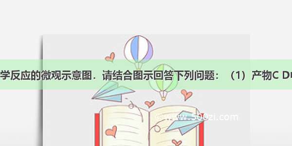 如图是某化学反应的微观示意图．请结合图示回答下列问题：（1）产物C D中 属于单质