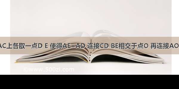 如图 在AB AC上各取一点D E 使得AE=AD 连接CD BE相交于点O 再连接AO．若∠CAO=