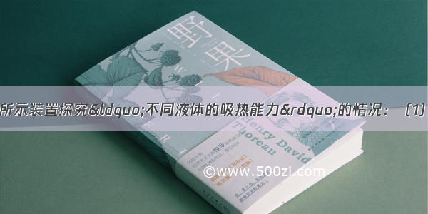 小军同学用如图甲所示装置探究“不同液体的吸热能力”的情况：（1）实验时 他在两个