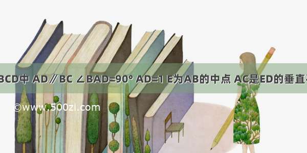 如图 梯形ABCD中 AD∥BC ∠BAD=90° AD=1 E为AB的中点 AC是ED的垂直平分线．（1