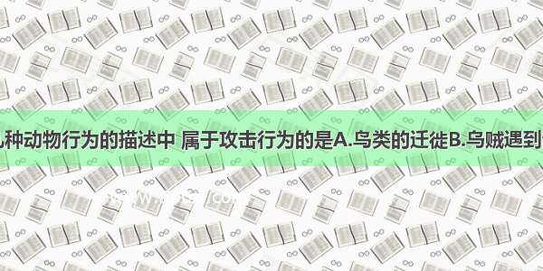 单选题下列几种动物行为的描述中 属于攻击行为的是A.鸟类的迁徙B.乌贼遇到敌害时喷出“