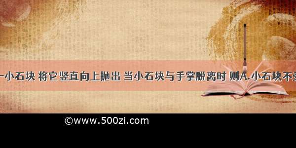 手掌中托一小石块 将它竖直向上抛出 当小石块与手掌脱离时 则A.小石块不受任何力的