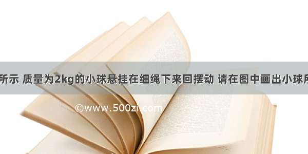 （1）如图所示 质量为2kg的小球悬挂在细绳下来回摆动 请在图中画出小球所受重力的图