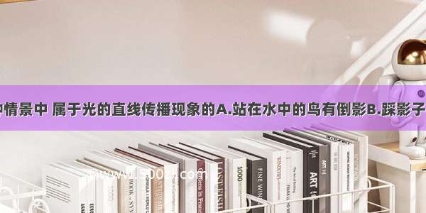 如图所示的四种情景中 属于光的直线传播现象的A.站在水中的鸟有倒影B.踩影子C.水面&ldquo;