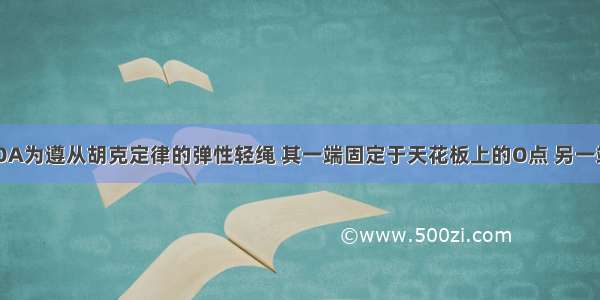 如图所示 OA为遵从胡克定律的弹性轻绳 其一端固定于天花板上的O点 另一端与静止在