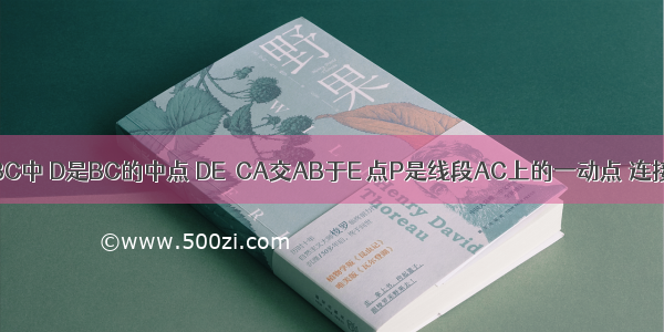 如图 在△ABC中 D是BC的中点 DE∥CA交AB于E 点P是线段AC上的一动点 连接PE．探究