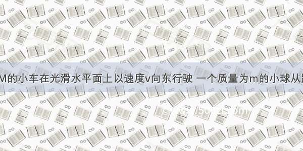 单选题质量为M的小车在光滑水平面上以速度v向东行驶 一个质量为m的小球从距地面H高处自